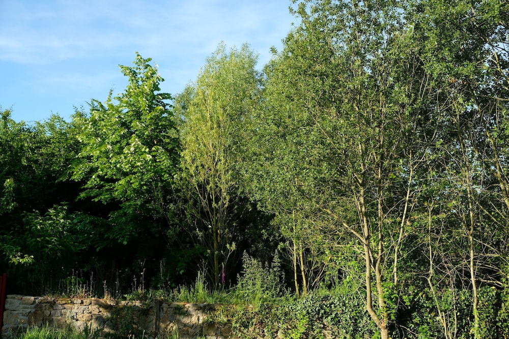 Photo 43