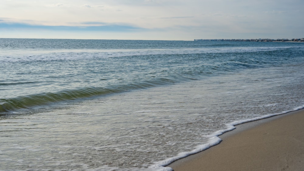 Dauphin Luv - Beach Club #201 4 Bedroom Condo