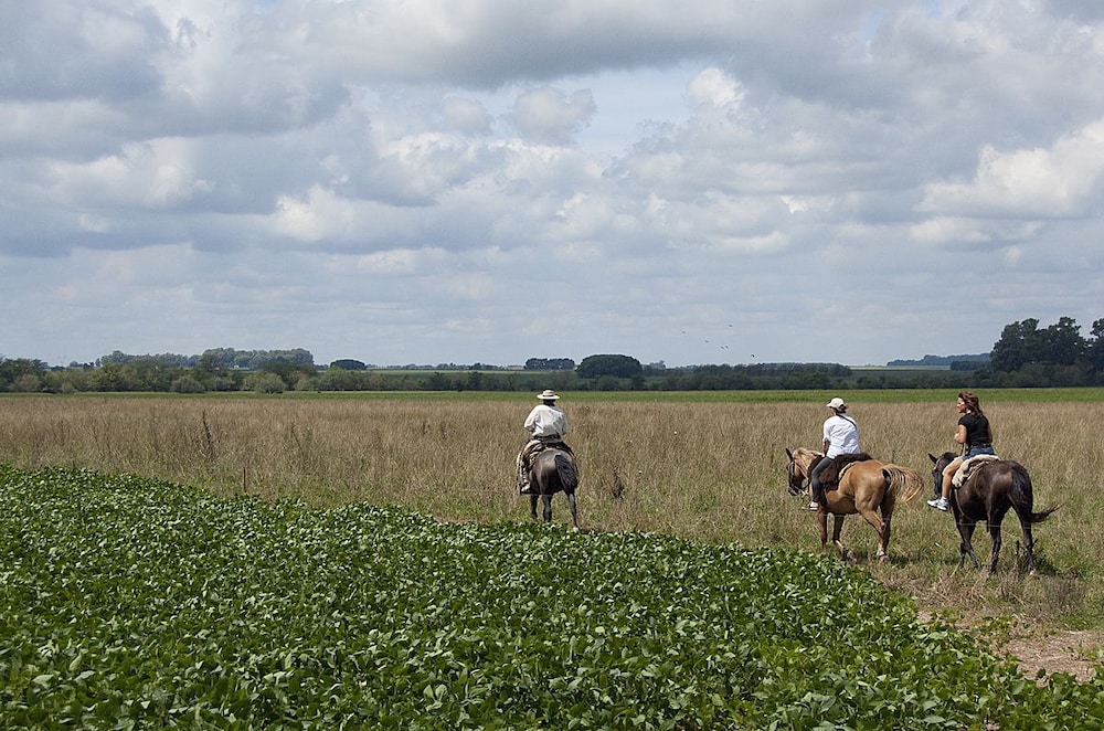 Estancia El Ombu de Areco
