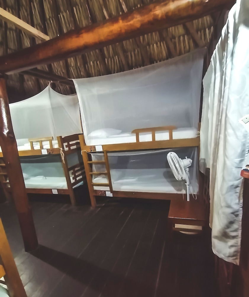 Prima Luna Palomino - Property Image 31