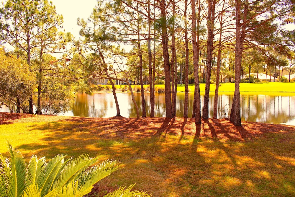 1277 Laurel Grove 3 Bedroom Home by RedAwning view 5
