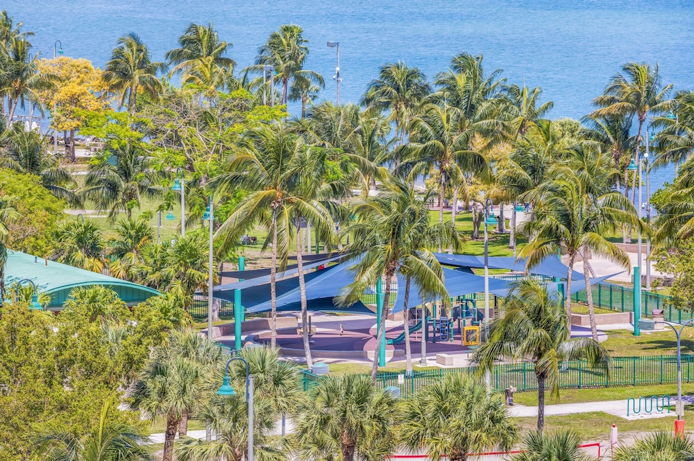 Beyond the Sand Biscayne Bay