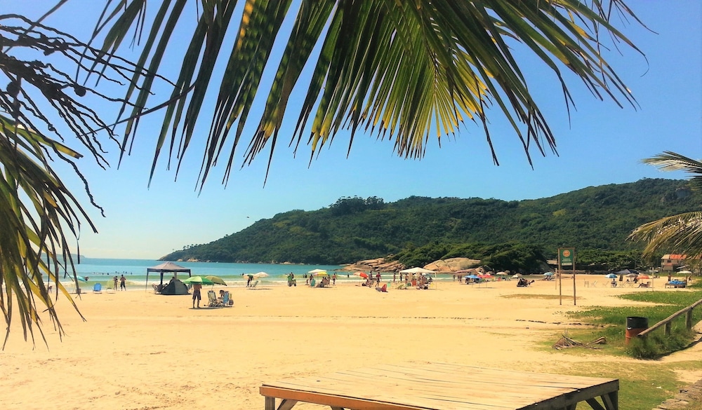 Coral de Bombinhas