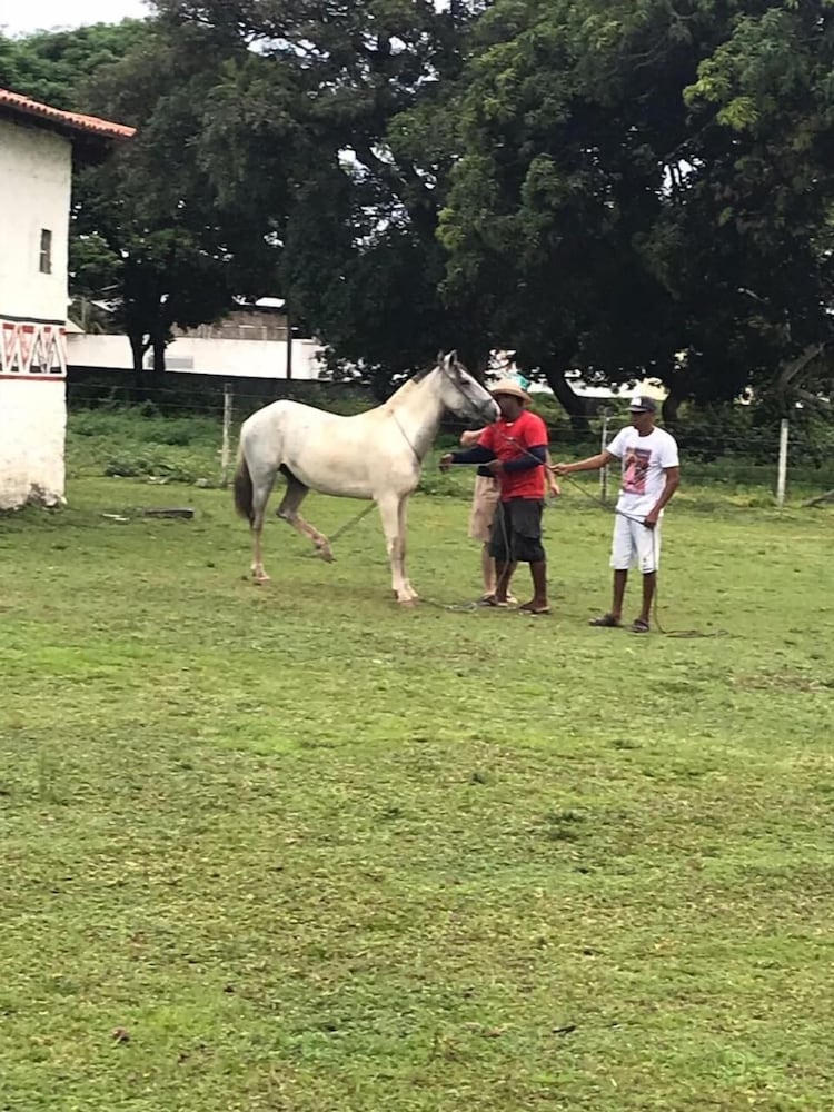 Pousada Marajoara