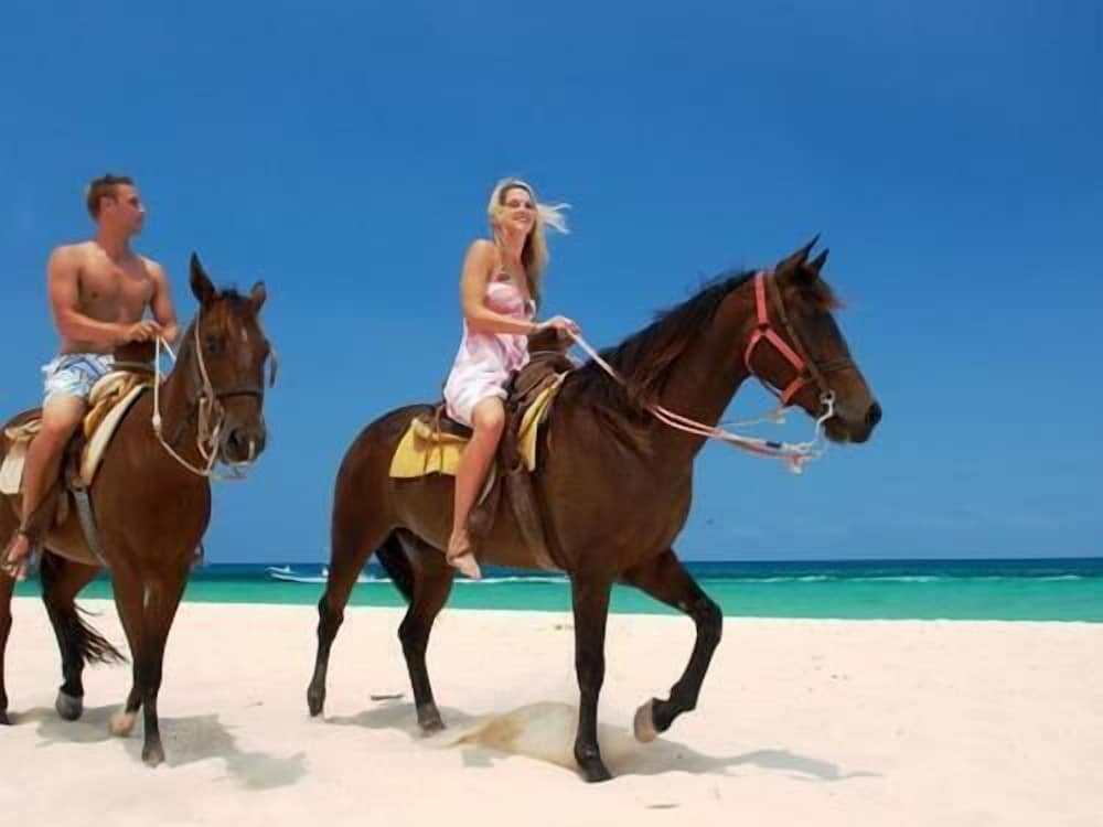 Photo 60