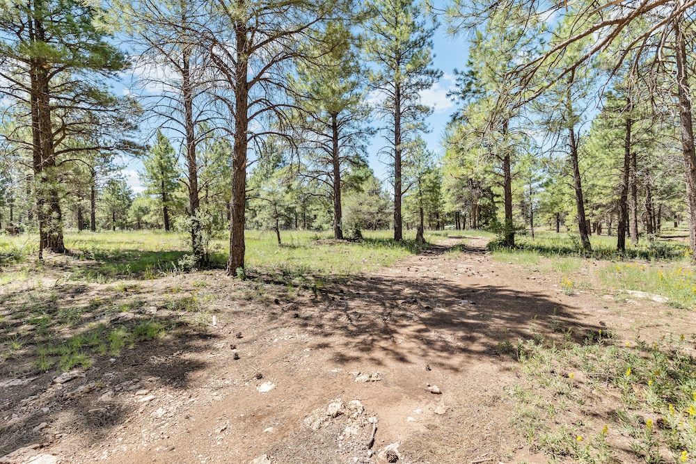 Butler Flagstaff