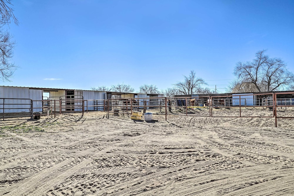 Cozy Las Cruces Apt on Pecan & Horse Farm! view 2