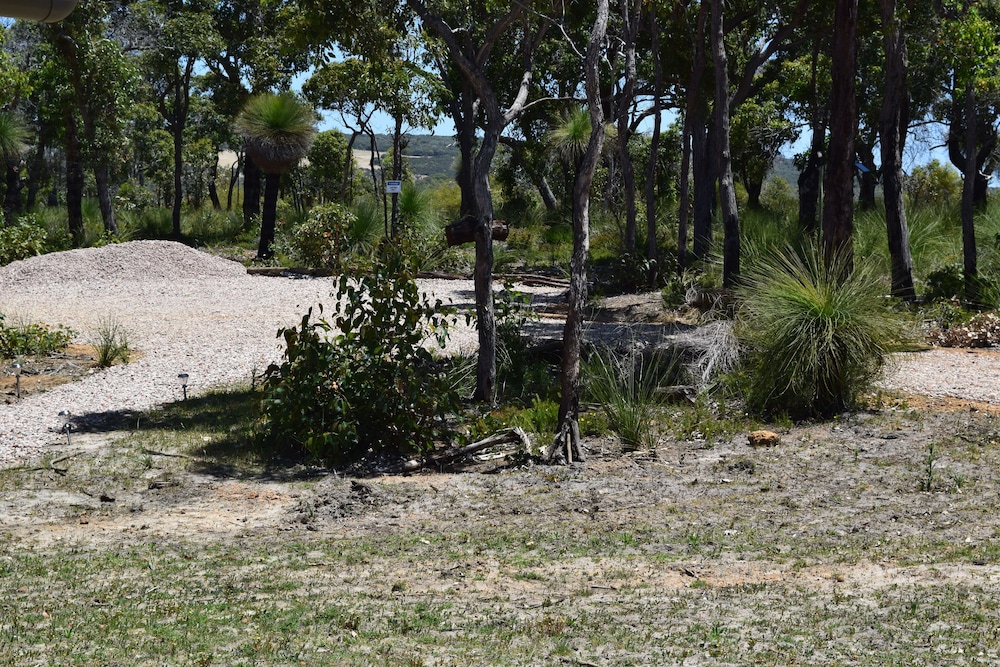 Photo 25
