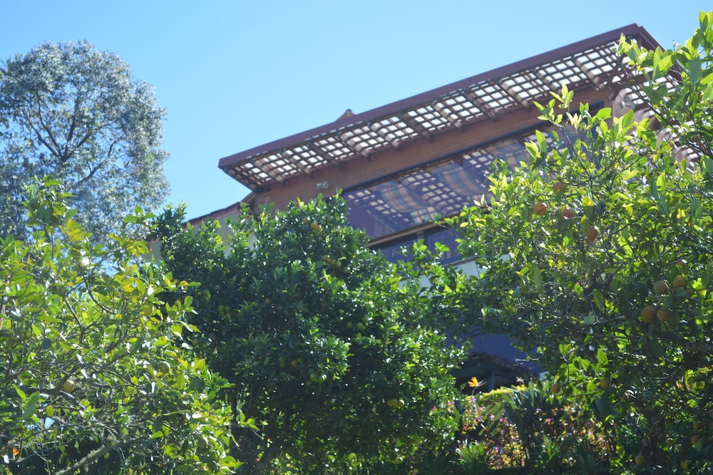 Photo 47