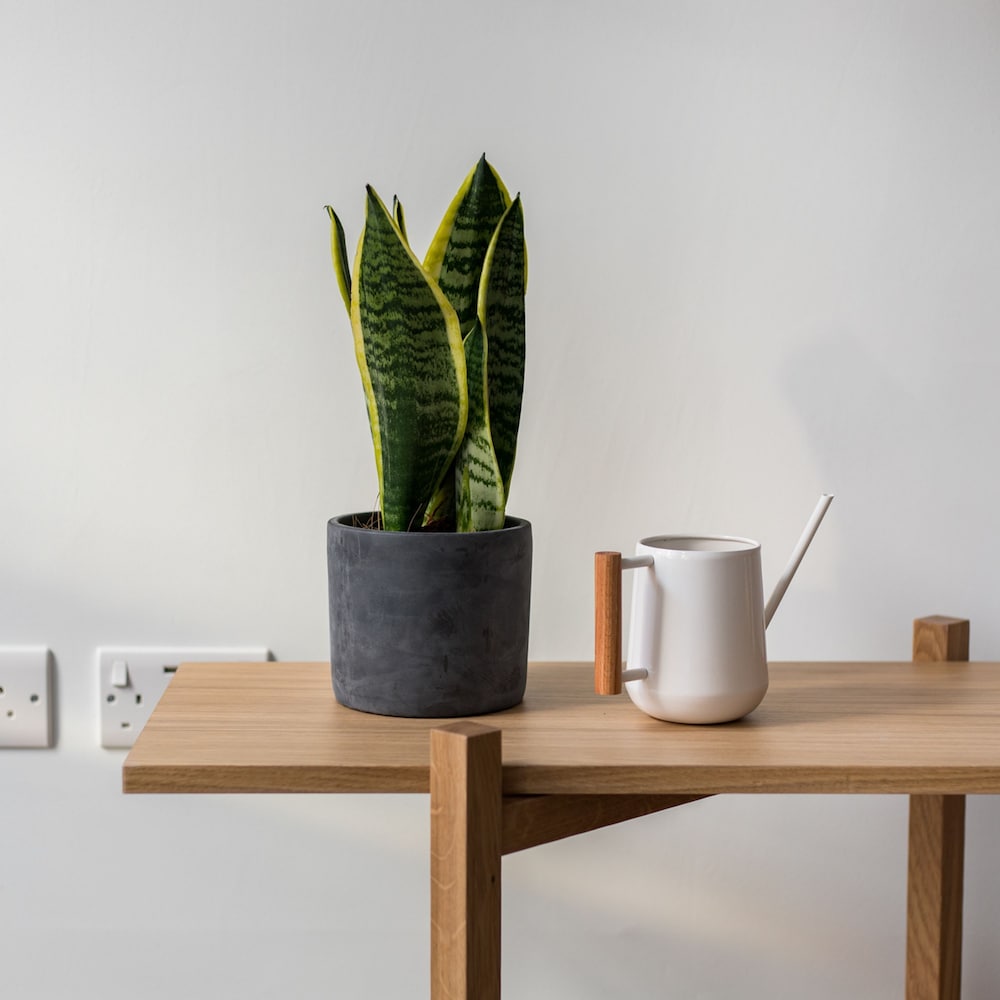 Calm Leicester Sq 1BR - Netflix Nespresso