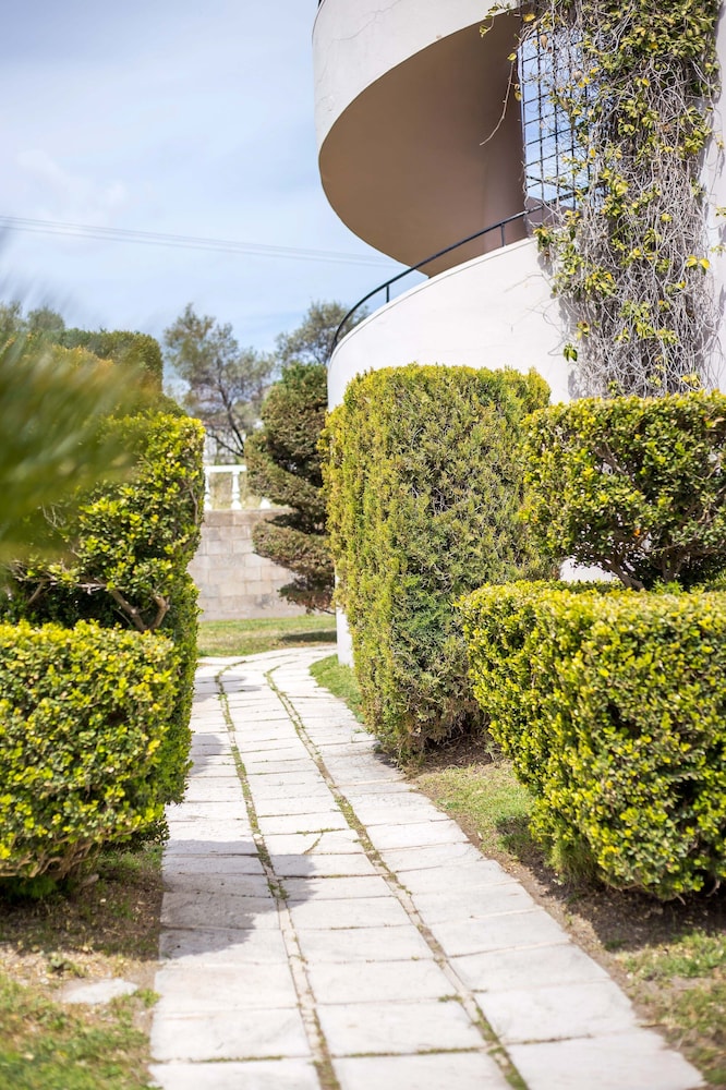 Jimmy's Garden