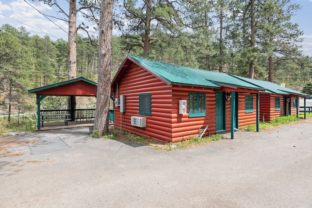 Ponderosa Pines