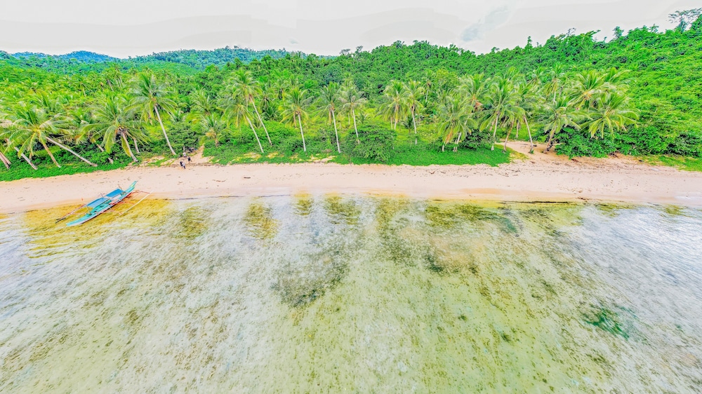 Atremaru Jungle Retreat