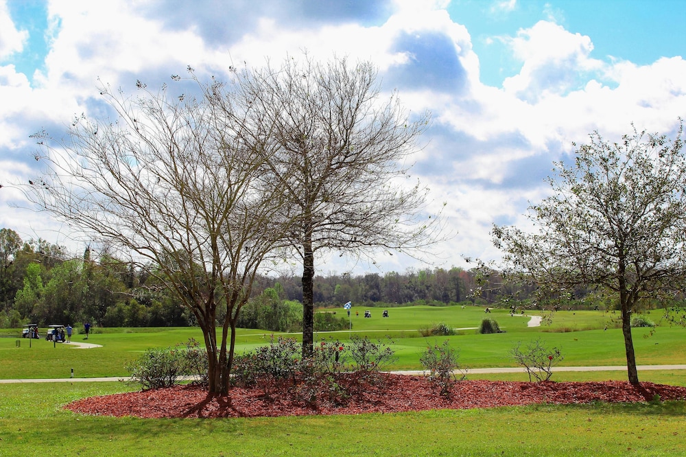 Palm Golf House 6 Bedroom - Image 5