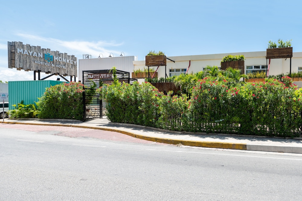 Mayan Monkey Cancun | Social Hotel