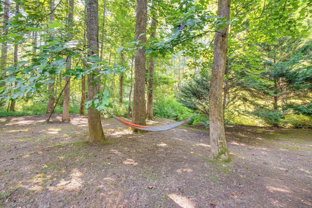Sandy Beach, Fun Games & Barn: Lake Lure Gem!