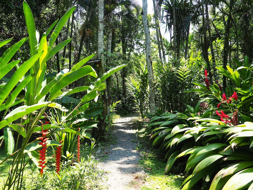 La Finca Chica