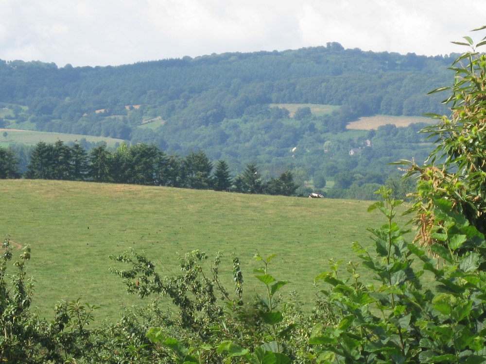 Le Petit Clos, photo 8