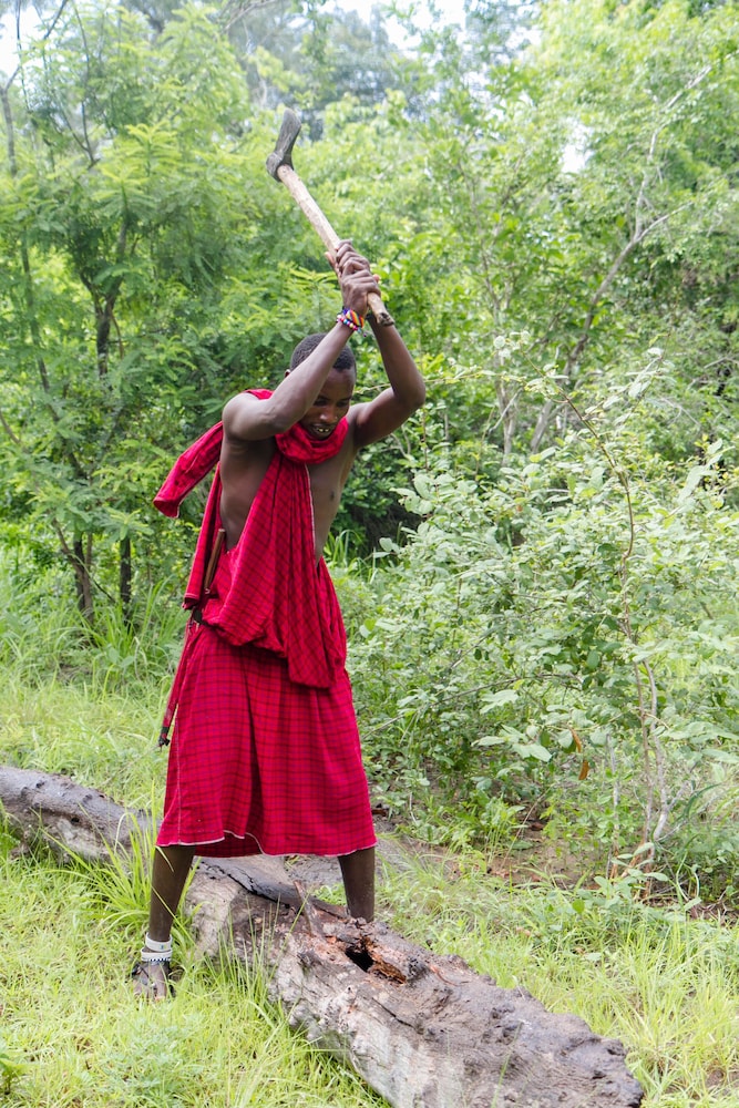 Africa Safari Selous
