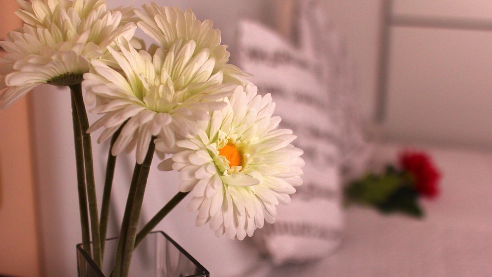 Moreno`s Boutique Hotel