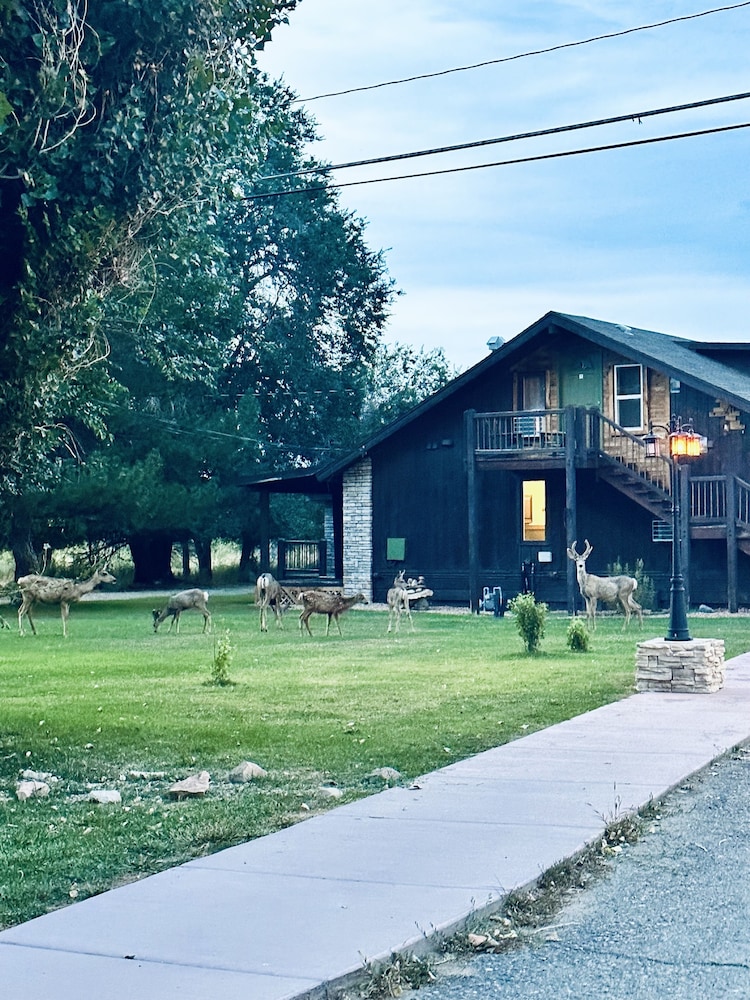 Moosehead Lodge & Cabins