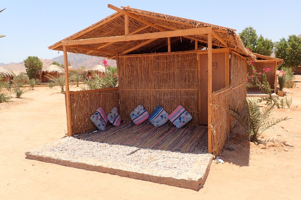 Bedouin Star
