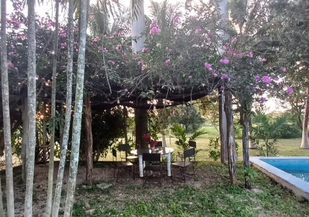 Photo 46