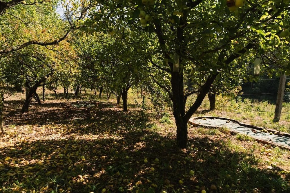 Quinta do Pomarinho - Quarto Twin Eras - by Rowdhouses 432668