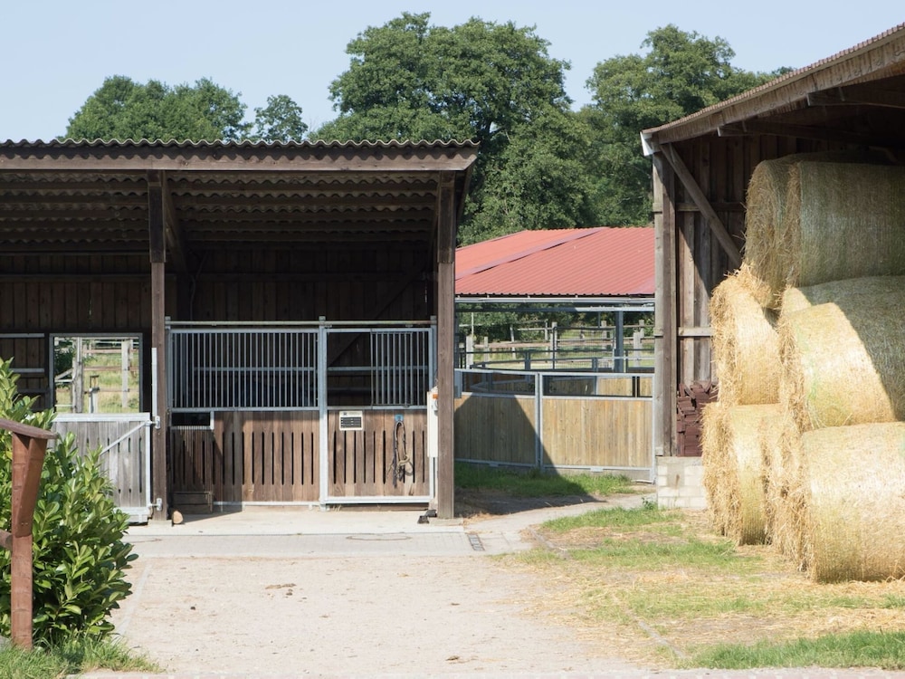Cozy Holiday Home on a Horse Farm in the Luneburg Heath - Property Image 3