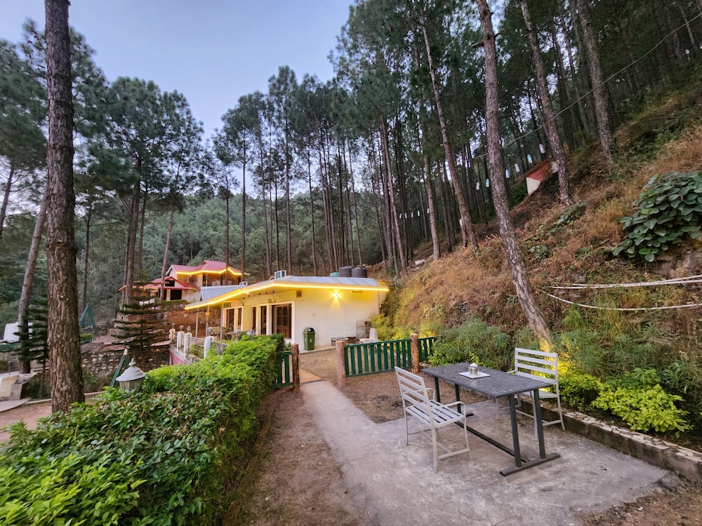 Pine Valley Resort - PVR Kasauli