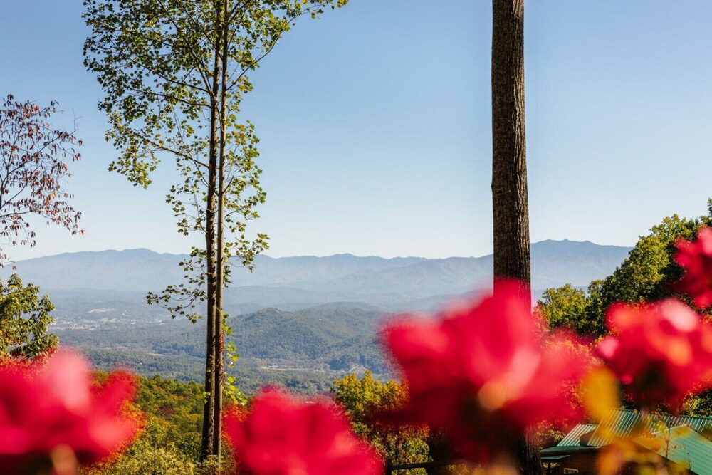 The Great Smoky Haven