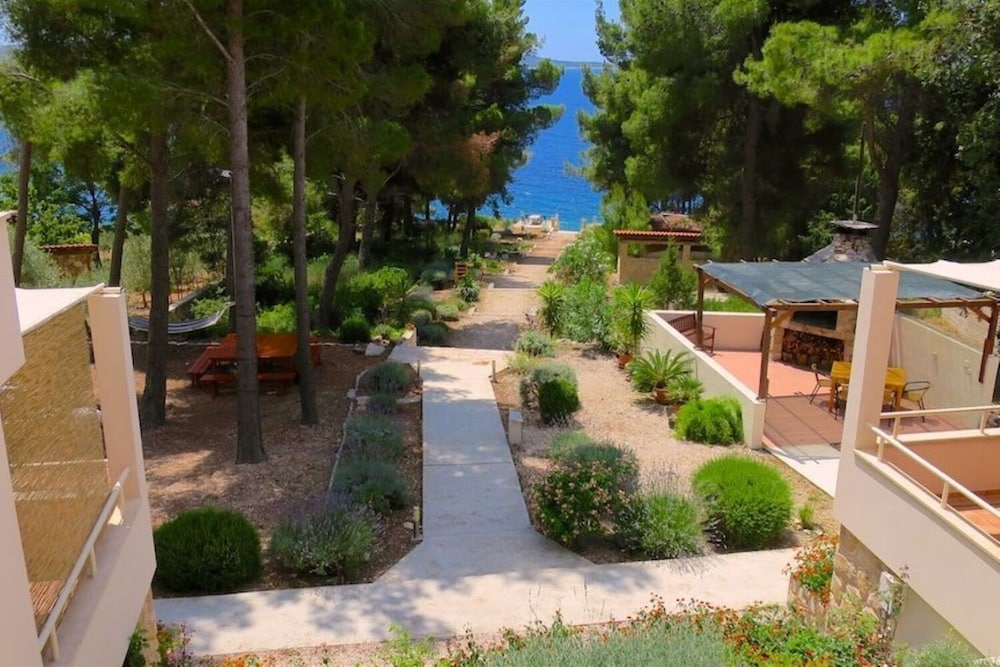 Dino - Gorgeous Garden - SA2 Jelsa