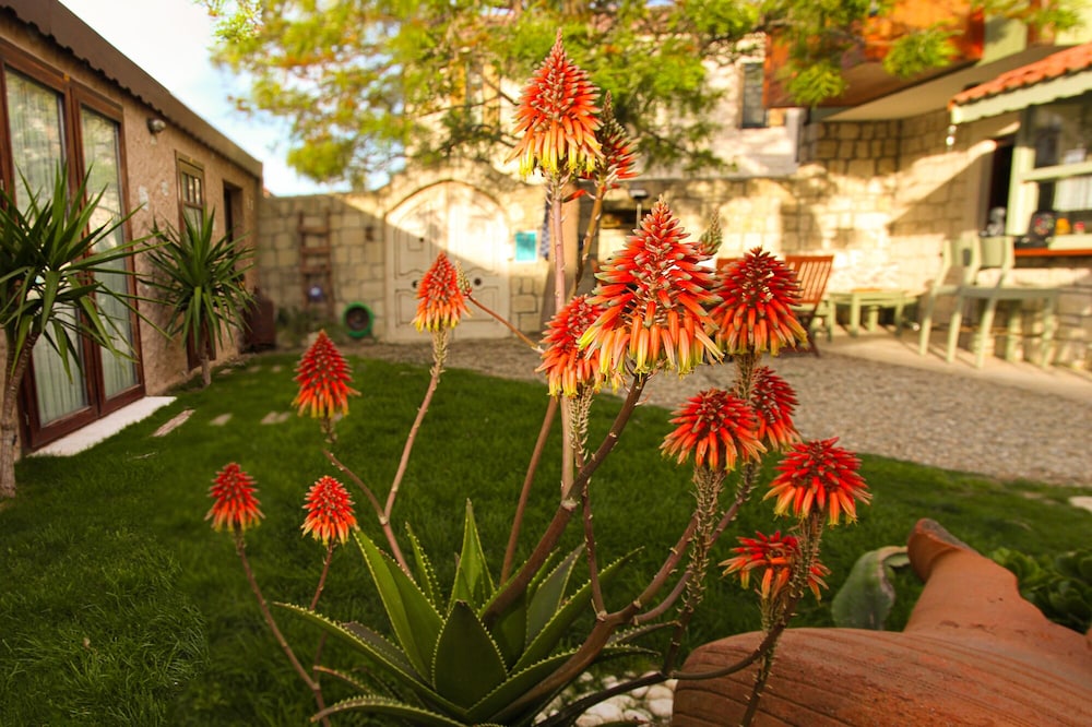 Zevkliler Alaçatı