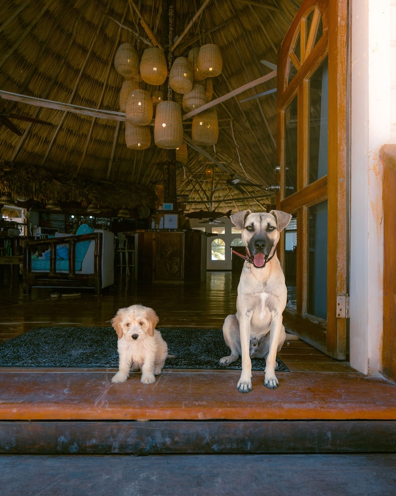 Thatch Caye, a Muy'Ono Resort