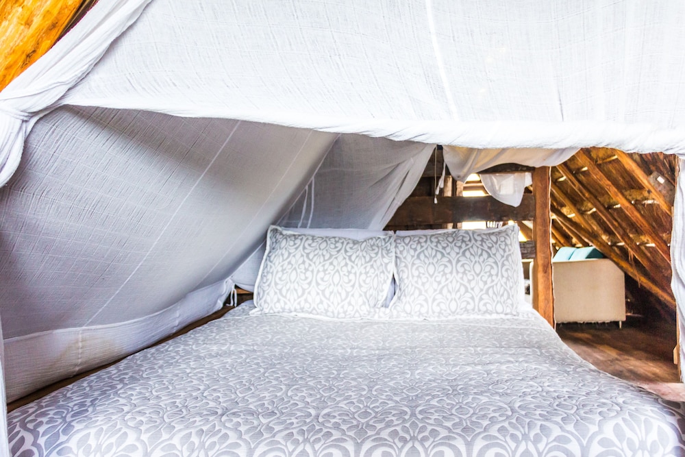 Cancun Vacations - Bambu Gran Palas Hostel Party - Property Image 56