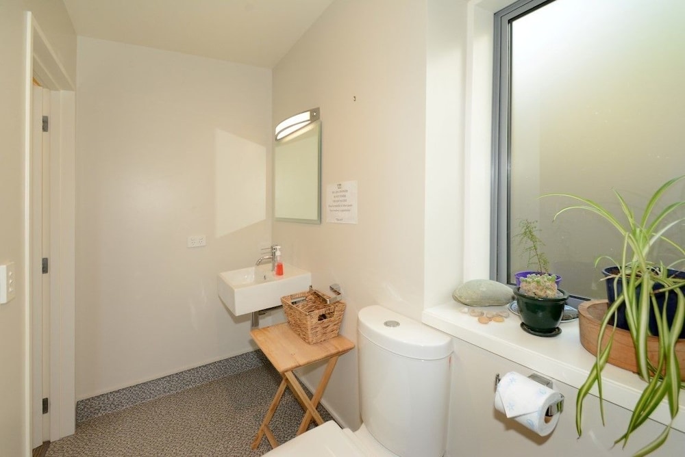 Baldwin Street BNB