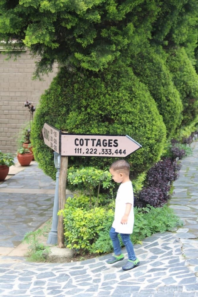Blossoms Village Resort