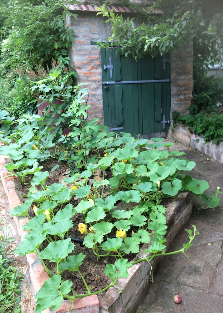 Photo 37