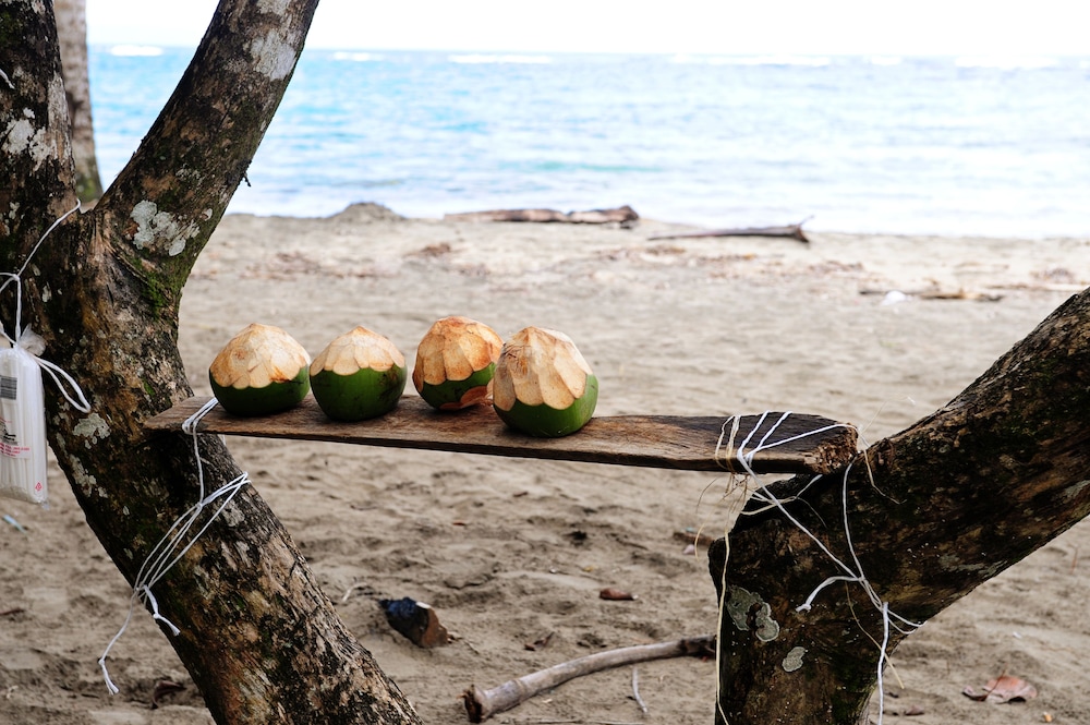 Tree House Beachfront Lodge