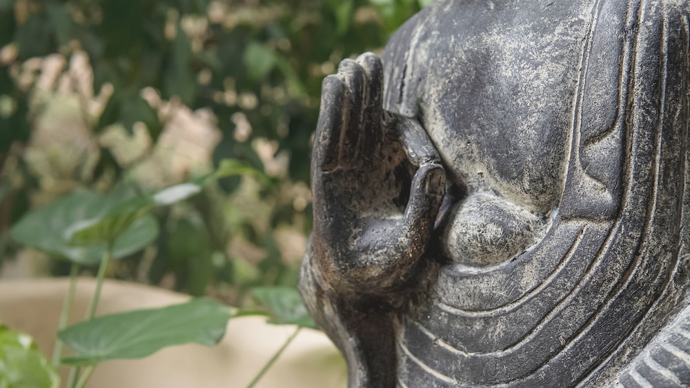 Padma Ha Retreats