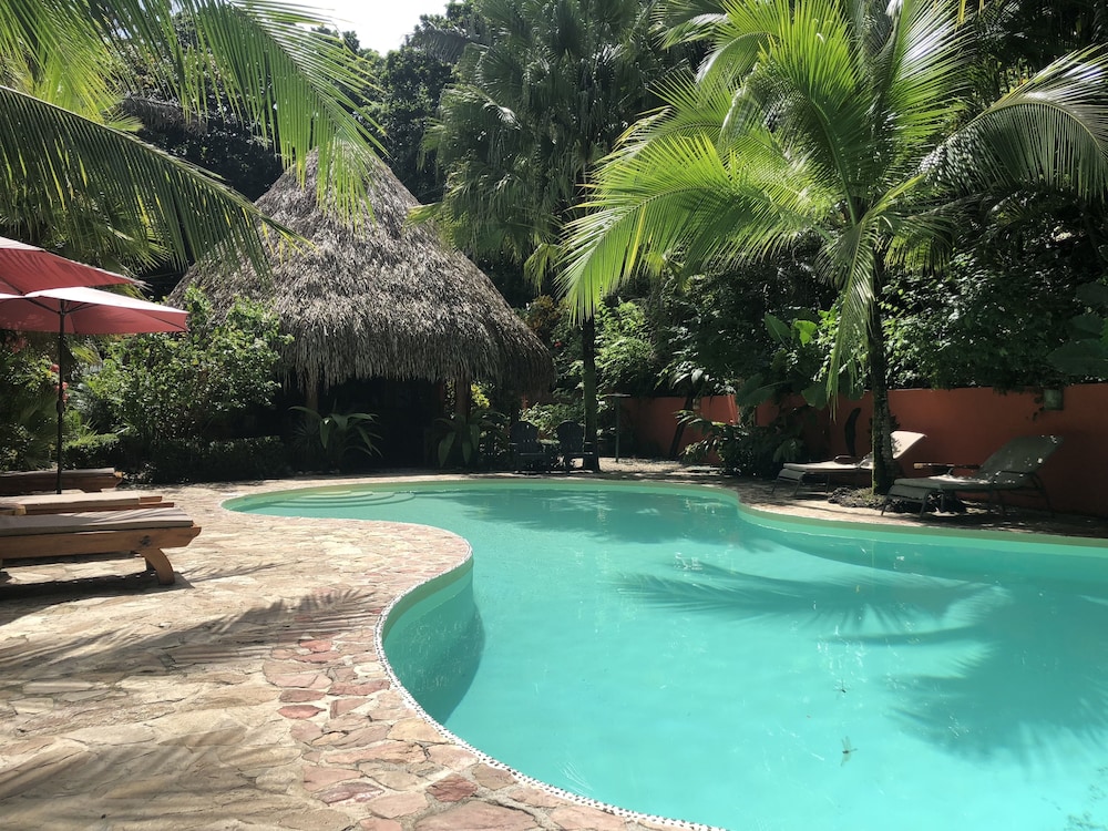 Hotel El Pequeño Gecko Verde