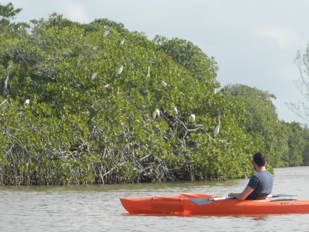 Palmento Grove Eco Cultural & Fishing Lodge
