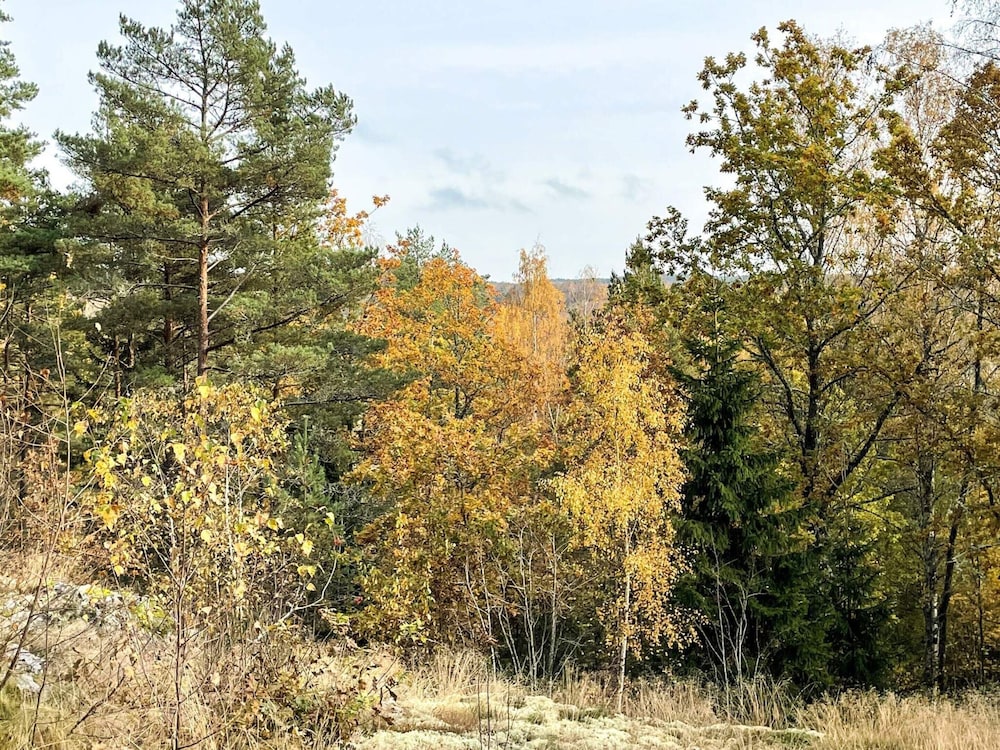 Peaceful Forest Cabin in Dalsland