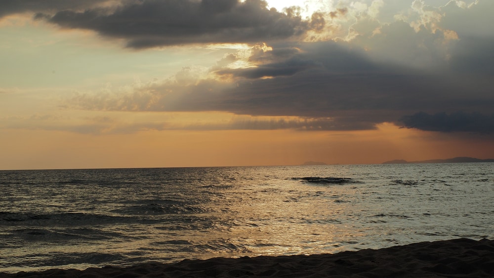 Photo 30
