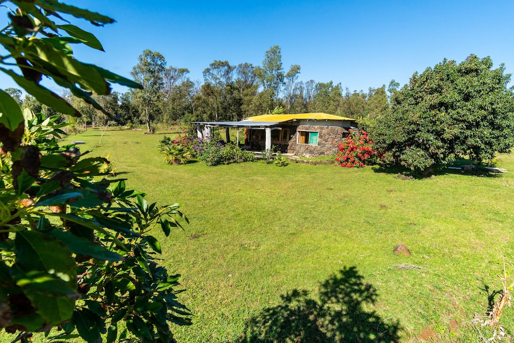 Vaihu Lodge