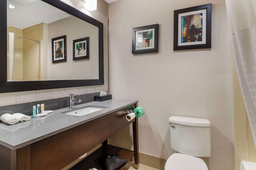 Comfort Suites Shenandoah-The Woodlands - Property Image 18