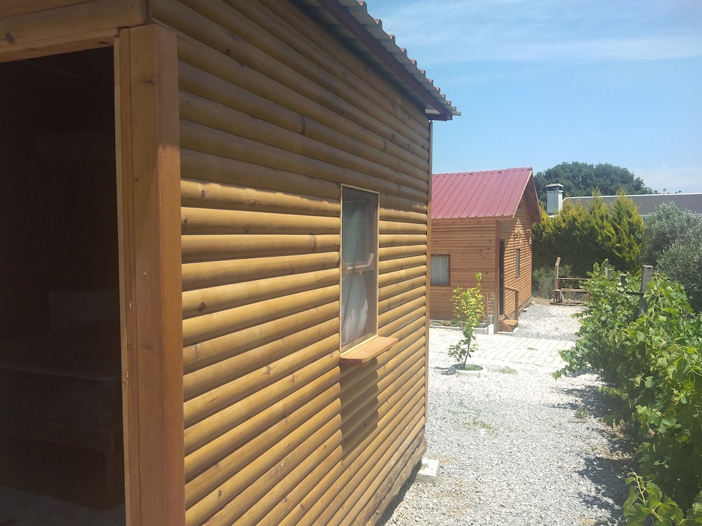 Photo 27
