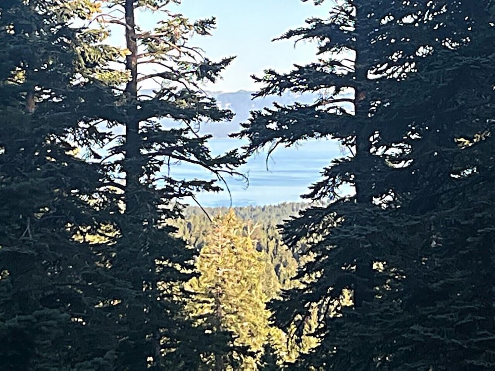 Awesome Dawson 1 Bedroom Condo by RedAwning view 4