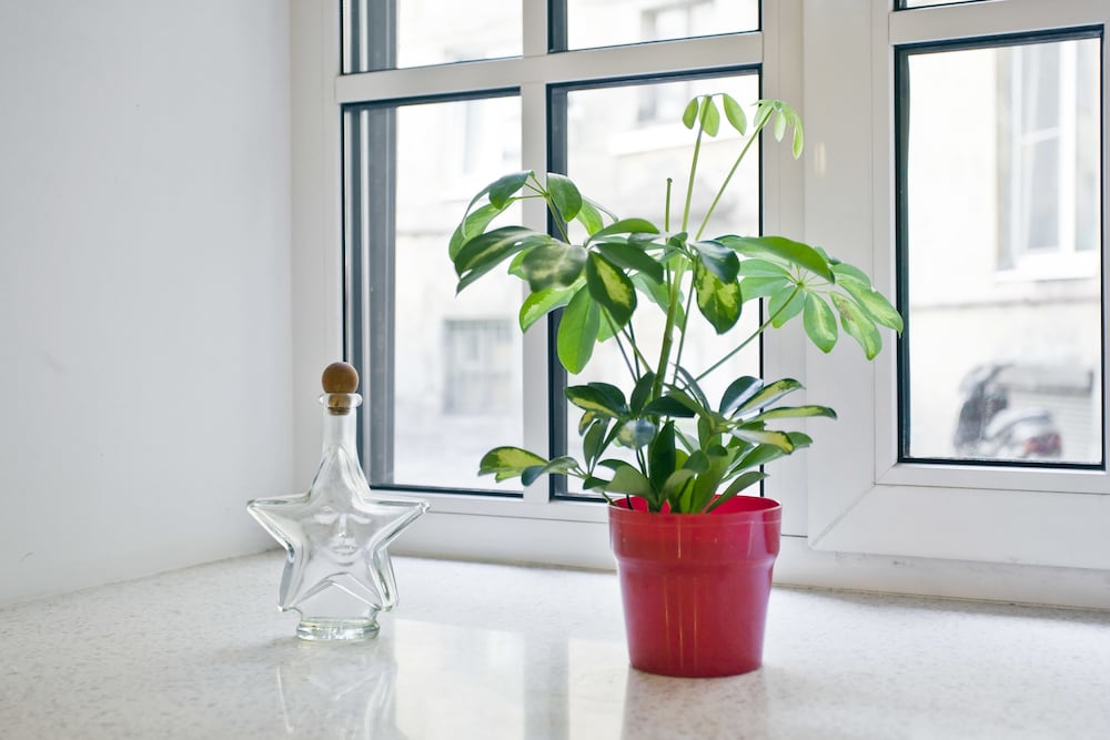 RentalSPb Studio on Nikolskaya view 3