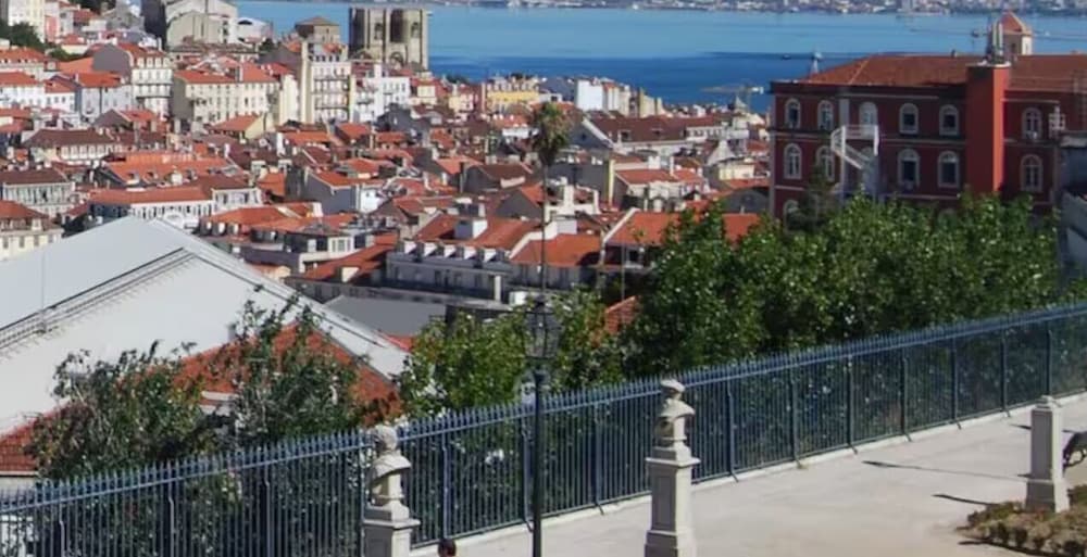 Wooden Top With Terrace
